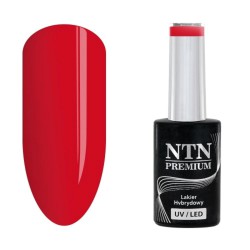 NTN Premium After Midnight 066 5g