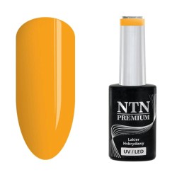 NTN Premium Multicolor  084 5g