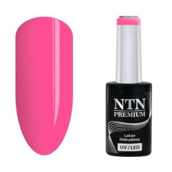 NTN Premium Delight Sorbet 151 5g